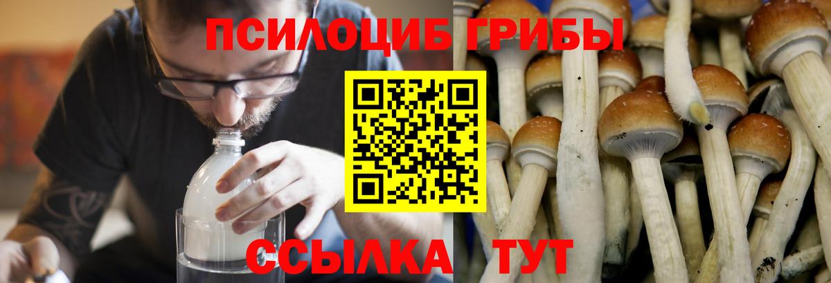 Трёхгорный  Галлюциногенные грибы ЛСД  Вход с VPN 